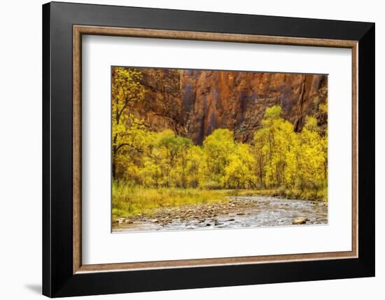 USA, Utah, Zion National Park. Stream in Autumn Landscape-Jay O'brien-Framed Photographic Print