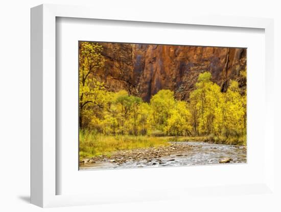 USA, Utah, Zion National Park. Stream in Autumn Landscape-Jay O'brien-Framed Photographic Print