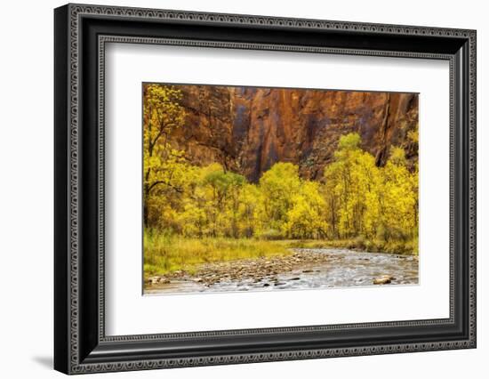 USA, Utah, Zion National Park. Stream in Autumn Landscape-Jay O'brien-Framed Photographic Print