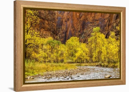 USA, Utah, Zion National Park. Stream in Autumn Landscape-Jay O'brien-Framed Premier Image Canvas