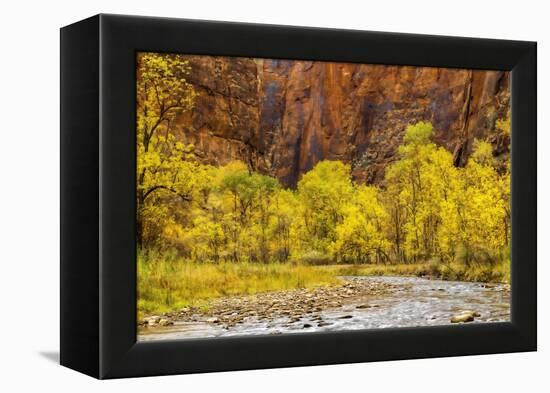 USA, Utah, Zion National Park. Stream in Autumn Landscape-Jay O'brien-Framed Premier Image Canvas