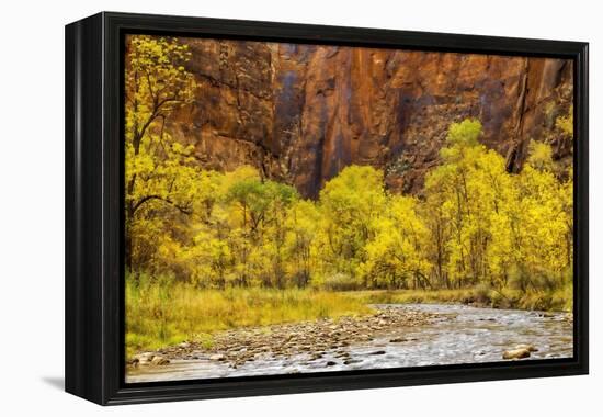 USA, Utah, Zion National Park. Stream in Autumn Landscape-Jay O'brien-Framed Premier Image Canvas