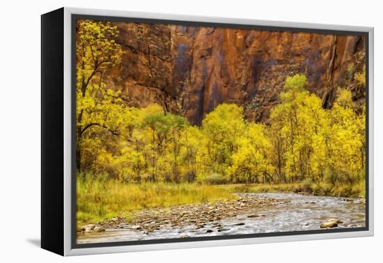 USA, Utah, Zion National Park. Stream in Autumn Landscape-Jay O'brien-Framed Premier Image Canvas