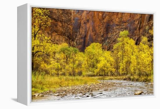 USA, Utah, Zion National Park. Stream in Autumn Landscape-Jay O'brien-Framed Premier Image Canvas