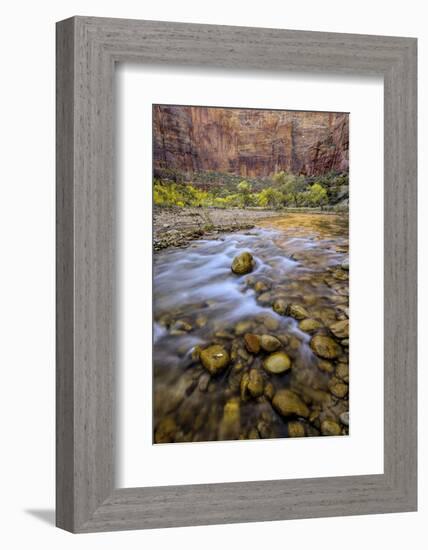 USA, Utah, Zion National Park. Stream in Autumn Scenic-Jay O'brien-Framed Photographic Print