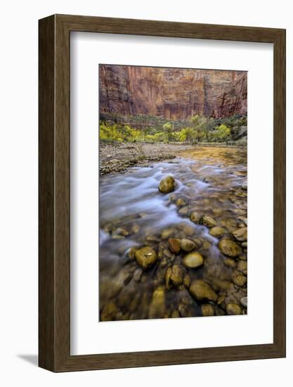 USA, Utah, Zion National Park. Stream in Autumn Scenic-Jay O'brien-Framed Photographic Print