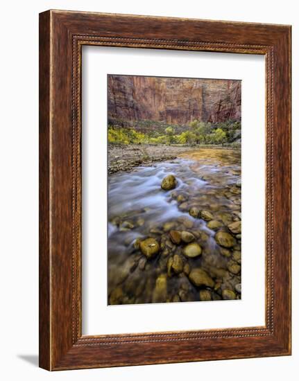 USA, Utah, Zion National Park. Stream in Autumn Scenic-Jay O'brien-Framed Photographic Print