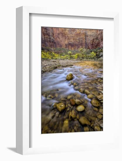 USA, Utah, Zion National Park. Stream in Autumn Scenic-Jay O'brien-Framed Photographic Print