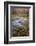 USA, Utah, Zion National Park. Stream in Autumn Scenic-Jay O'brien-Framed Photographic Print