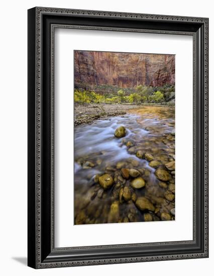 USA, Utah, Zion National Park. Stream in Autumn Scenic-Jay O'brien-Framed Photographic Print