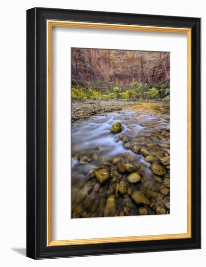 USA, Utah, Zion National Park. Stream in Autumn Scenic-Jay O'brien-Framed Photographic Print