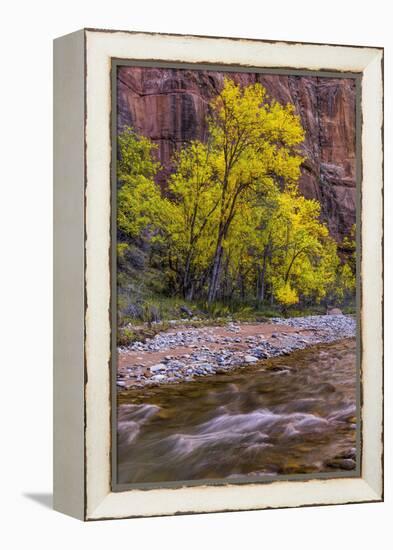 USA, Utah, Zion National Park. Stream in Autumn Scenic-Jay O'brien-Framed Premier Image Canvas