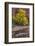 USA, Utah, Zion National Park. Stream in Autumn Scenic-Jay O'brien-Framed Photographic Print