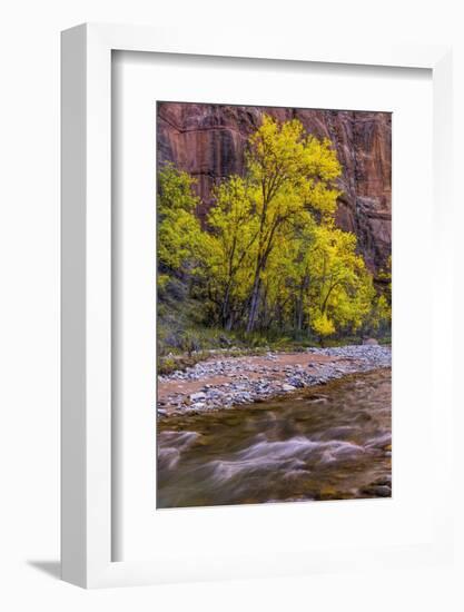 USA, Utah, Zion National Park. Stream in Autumn Scenic-Jay O'brien-Framed Photographic Print