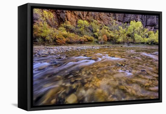 USA, Utah, Zion National Park. Stream in Autumn Scenic-Jay O'brien-Framed Premier Image Canvas