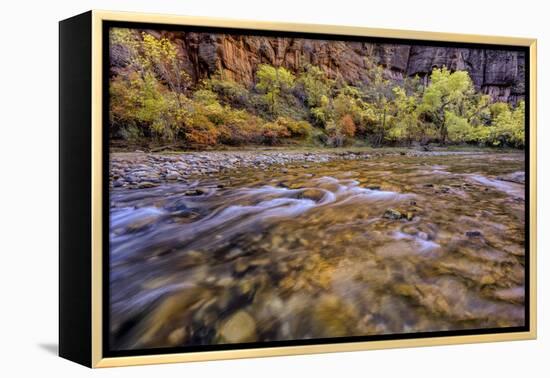 USA, Utah, Zion National Park. Stream in Autumn Scenic-Jay O'brien-Framed Premier Image Canvas