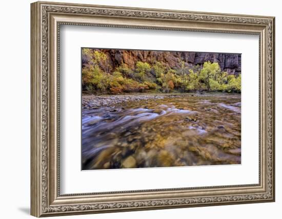 USA, Utah, Zion National Park. Stream in Autumn Scenic-Jay O'brien-Framed Photographic Print