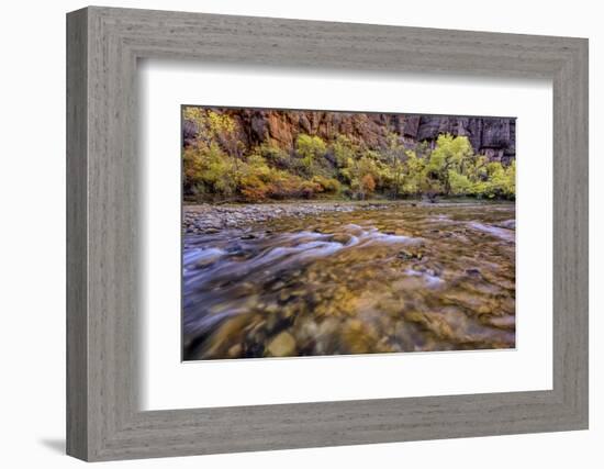 USA, Utah, Zion National Park. Stream in Autumn Scenic-Jay O'brien-Framed Photographic Print