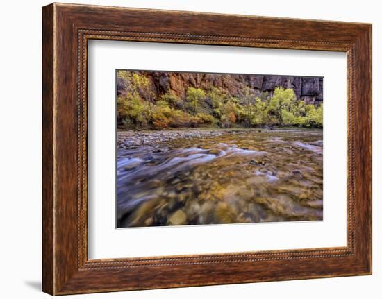 USA, Utah, Zion National Park. Stream in Autumn Scenic-Jay O'brien-Framed Photographic Print