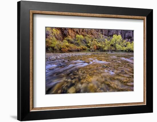 USA, Utah, Zion National Park. Stream in Autumn Scenic-Jay O'brien-Framed Photographic Print