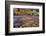 USA, Utah, Zion National Park. Stream in Autumn Scenic-Jay O'brien-Framed Photographic Print