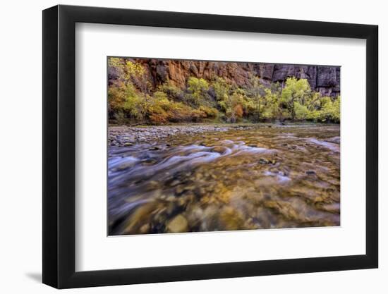 USA, Utah, Zion National Park. Stream in Autumn Scenic-Jay O'brien-Framed Photographic Print