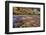 USA, Utah, Zion National Park. Stream in Autumn Scenic-Jay O'brien-Framed Photographic Print