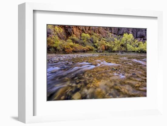 USA, Utah, Zion National Park. Stream in Autumn Scenic-Jay O'brien-Framed Photographic Print