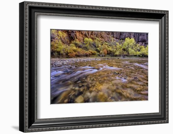 USA, Utah, Zion National Park. Stream in Autumn Scenic-Jay O'brien-Framed Photographic Print