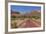 USA, Utah, Zion National Park, Street-Catharina Lux-Framed Photographic Print