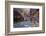 USA, Utah, Zion National Park. the Narrows of the Virgin River-Jamie & Judy Wild-Framed Photographic Print