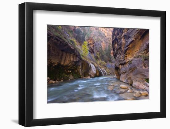 USA, Utah, Zion National Park. the Narrows of the Virgin River-Jamie & Judy Wild-Framed Photographic Print