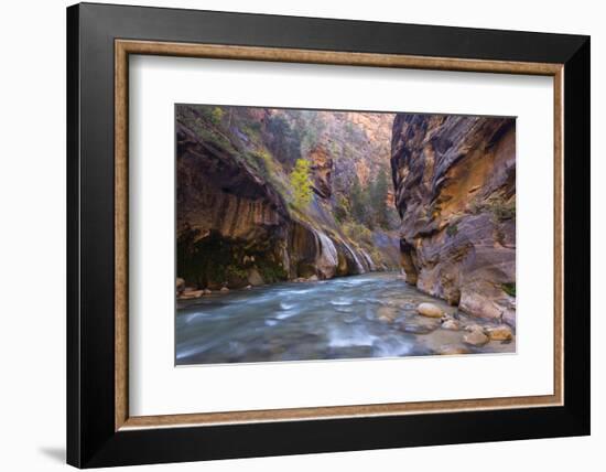 USA, Utah, Zion National Park. the Narrows of the Virgin River-Jamie & Judy Wild-Framed Photographic Print