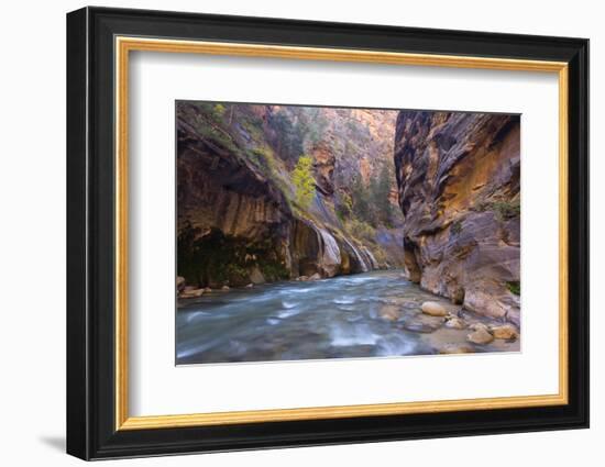 USA, Utah, Zion National Park. the Narrows of the Virgin River-Jamie & Judy Wild-Framed Photographic Print