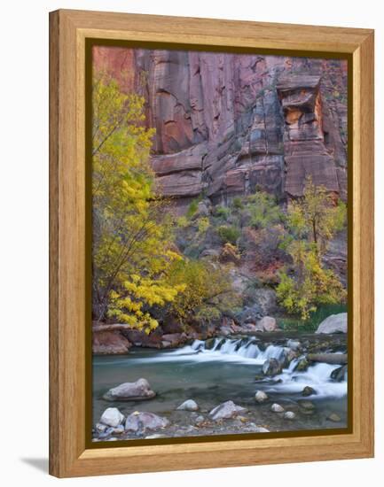 USA, Utah, Zion National Park. the Narrows with Cottonwood Trees in Autumn-Jaynes Gallery-Framed Premier Image Canvas