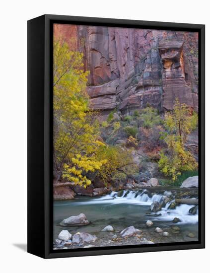 USA, Utah, Zion National Park. the Narrows with Cottonwood Trees in Autumn-Jaynes Gallery-Framed Premier Image Canvas