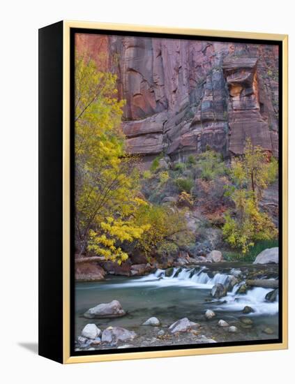 USA, Utah, Zion National Park. the Narrows with Cottonwood Trees in Autumn-Jaynes Gallery-Framed Premier Image Canvas