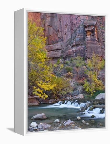 USA, Utah, Zion National Park. the Narrows with Cottonwood Trees in Autumn-Jaynes Gallery-Framed Premier Image Canvas