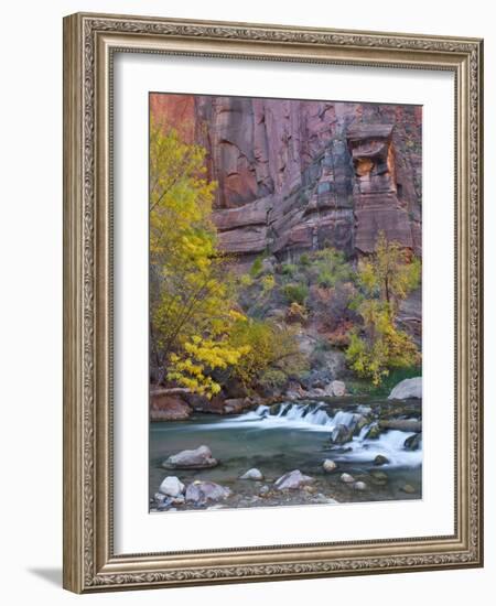 USA, Utah, Zion National Park. the Narrows with Cottonwood Trees in Autumn-Jaynes Gallery-Framed Photographic Print