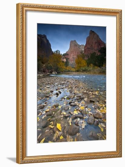 USA, Utah, Zion National Park. the Sentinel with Fallen Leaves in Virgin River-Jaynes Gallery-Framed Photographic Print