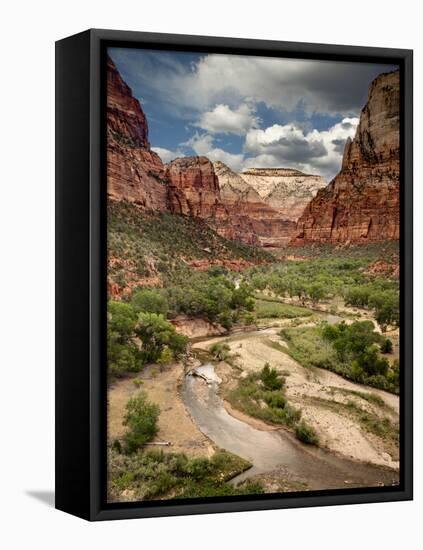 USA, Utah, Zion National Park. View Along the Virgin River-Ann Collins-Framed Premier Image Canvas