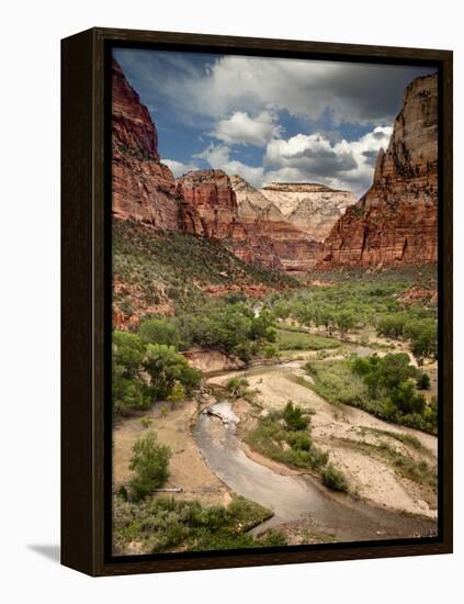USA, Utah, Zion National Park. View Along the Virgin River-Ann Collins-Framed Premier Image Canvas
