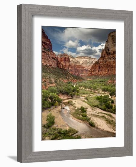 USA, Utah, Zion National Park. View Along the Virgin River-Ann Collins-Framed Photographic Print