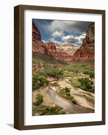 USA, Utah, Zion National Park. View Along the Virgin River-Ann Collins-Framed Photographic Print