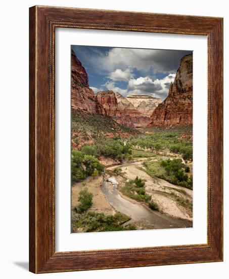 USA, Utah, Zion National Park. View Along the Virgin River-Ann Collins-Framed Photographic Print