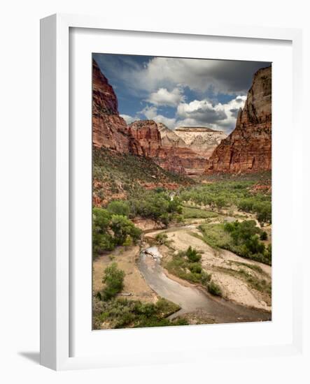 USA, Utah, Zion National Park. View Along the Virgin River-Ann Collins-Framed Photographic Print