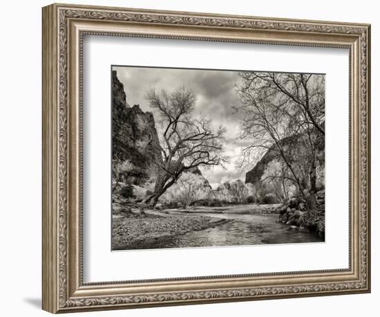 USA, Utah. Zion National Park, Virgin River and Cottonwoods in winter tinted monochrome-Ann Collins-Framed Photographic Print