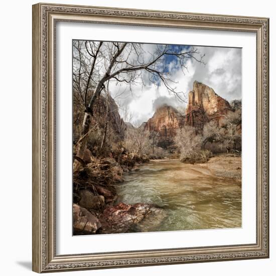 USA, Utah, Zion National Park. Virgin River and Cottonwoods in winter-Ann Collins-Framed Photographic Print