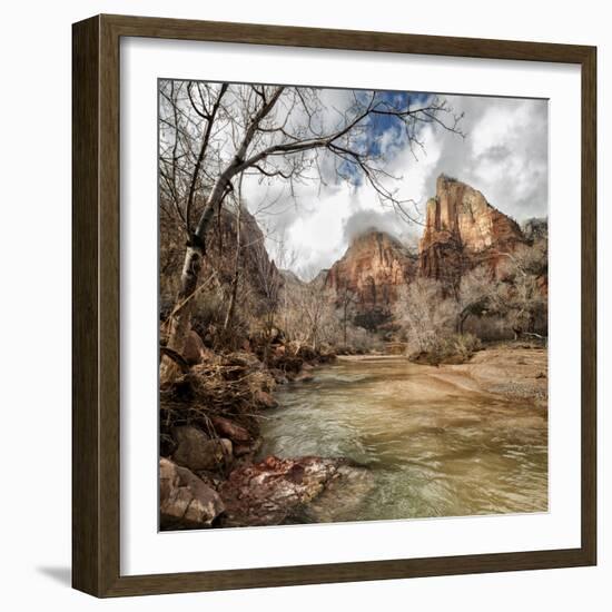 USA, Utah, Zion National Park. Virgin River and Cottonwoods in winter-Ann Collins-Framed Photographic Print