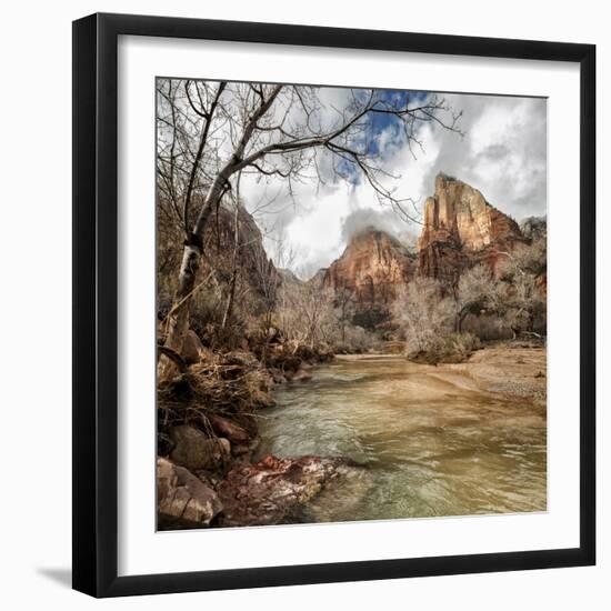 USA, Utah, Zion National Park. Virgin River and Cottonwoods in winter-Ann Collins-Framed Photographic Print